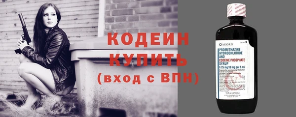 индика Волоколамск