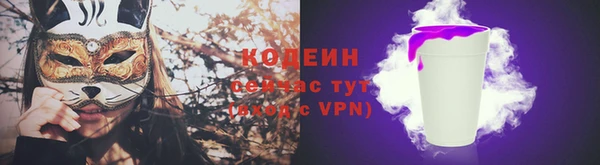 индика Волоколамск