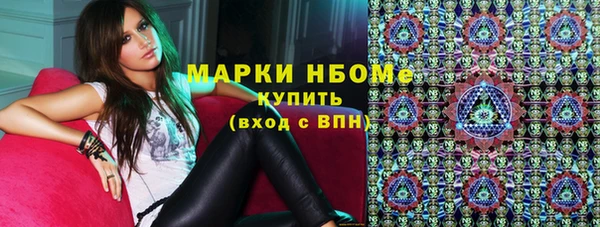 индика Волоколамск