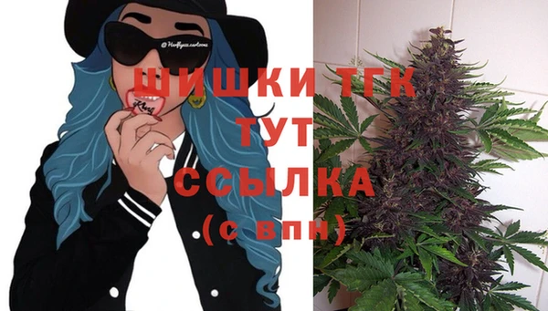 индика Волоколамск