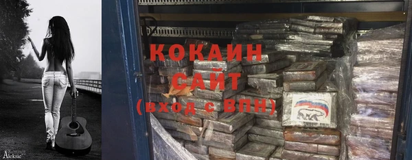 индика Волоколамск