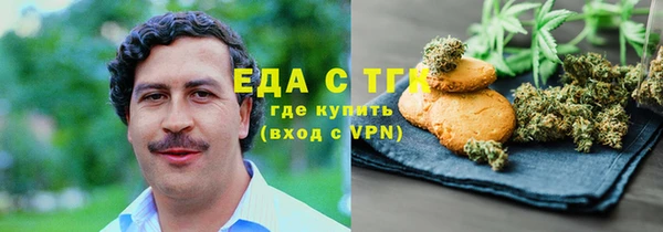 индика Волоколамск